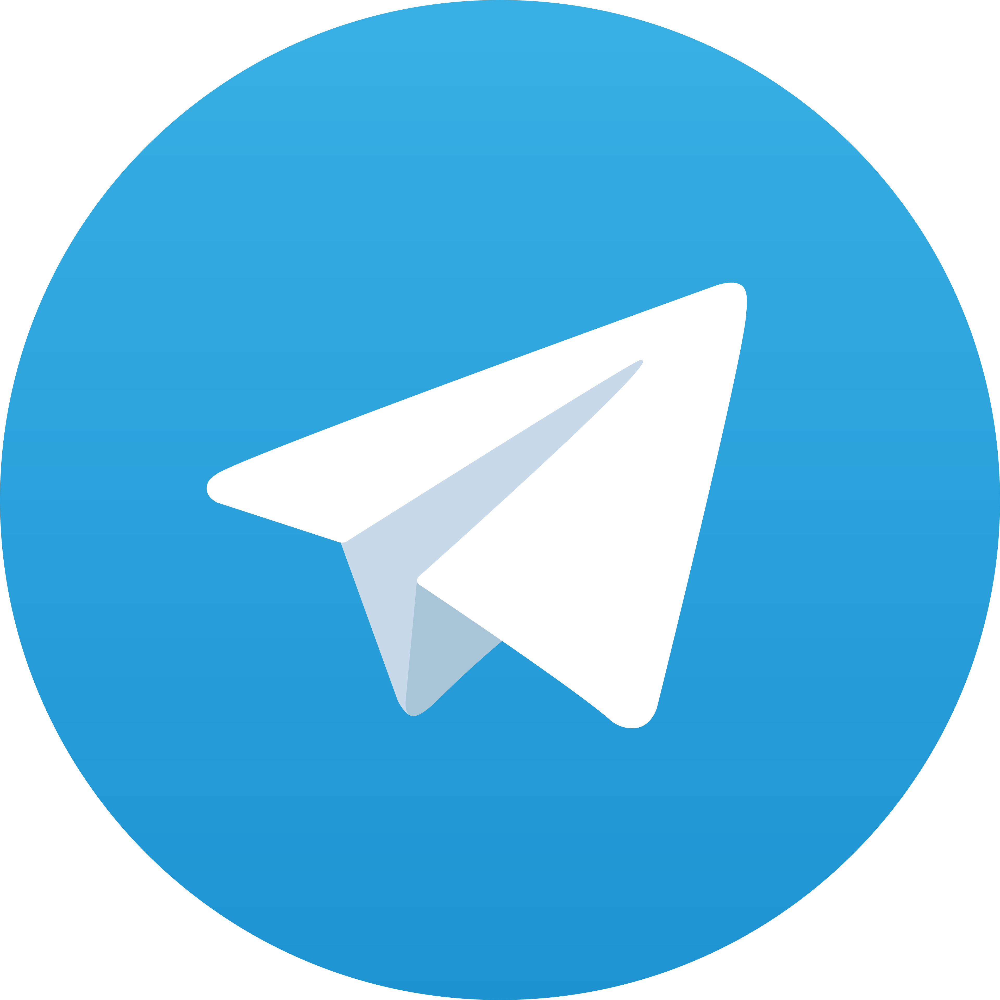 Telegram Anjing88